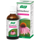 Echinaforce® Echinacea Drops 100ml