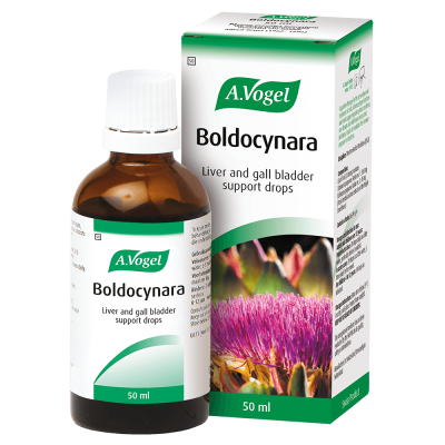 Boldocynara