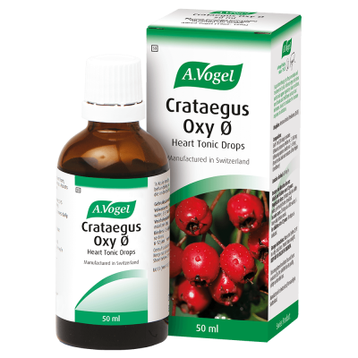 Crataegus Oxy