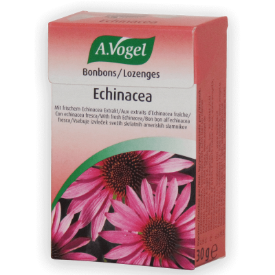 Echinacea Bonbons
